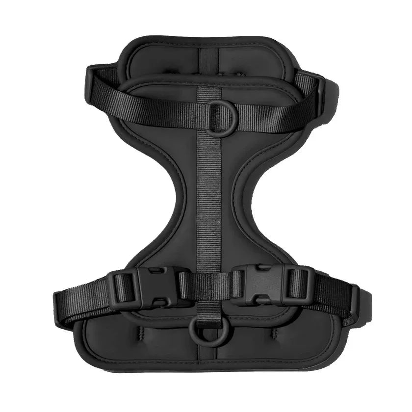 The MONTI Corgi Harness